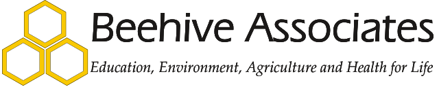 Beehive Associates